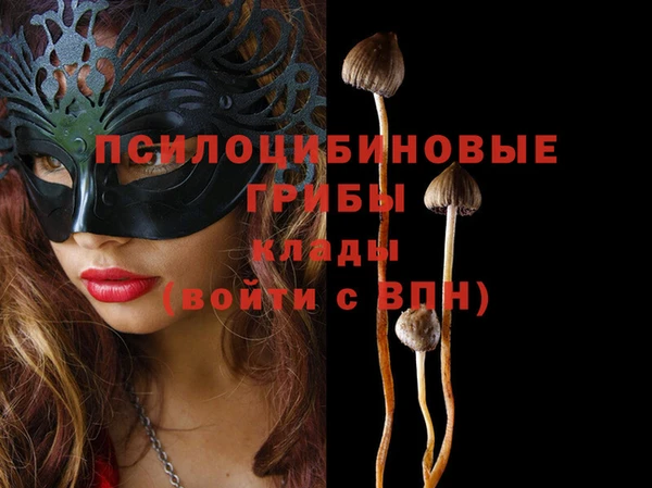 молекула духа Аркадак