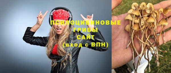 дурь Армянск