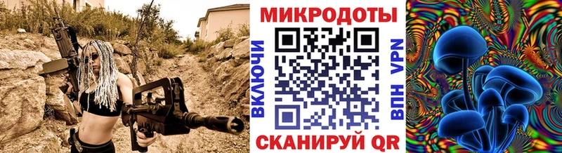 Купить закладки  Гороховец  Галлюциногенные грибы Psilocybine cubensis 